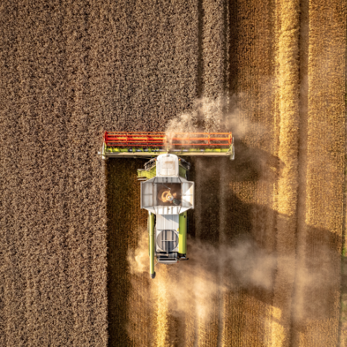 Erntemaschine arbeitet auf einem goldenen Feld, Staubwolken entstehen.